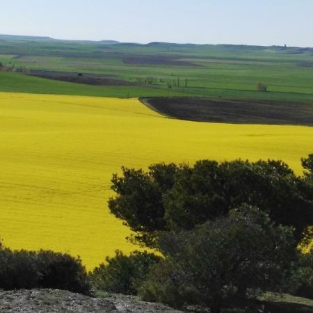 La Aldea Colorada Διαμέρισμα Mota del Marqués Εξωτερικό φωτογραφία
