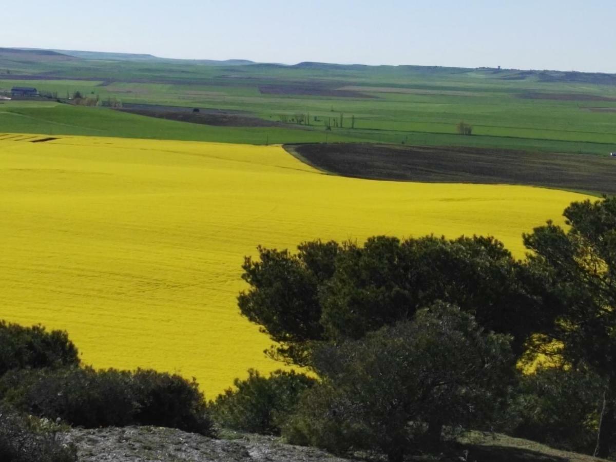 La Aldea Colorada Διαμέρισμα Mota del Marqués Εξωτερικό φωτογραφία