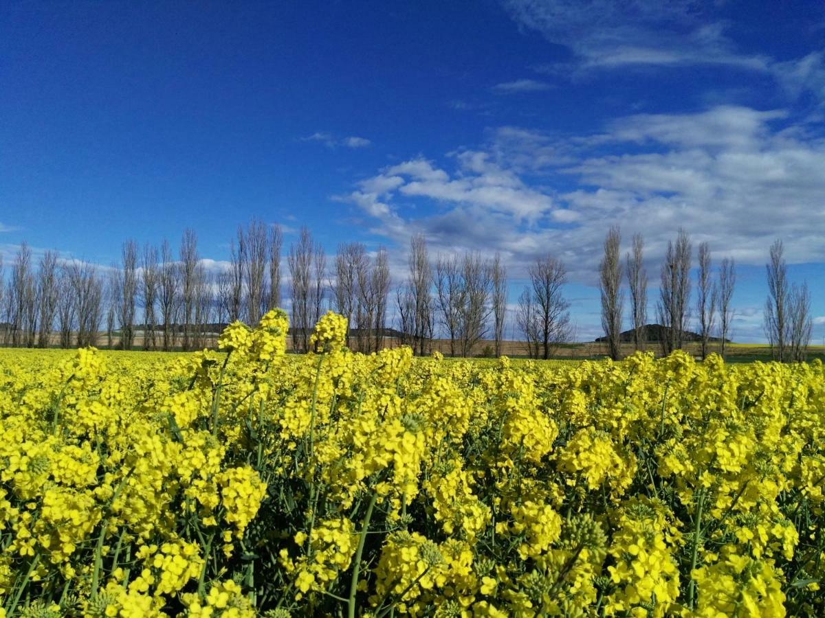 La Aldea Colorada Διαμέρισμα Mota del Marqués Εξωτερικό φωτογραφία