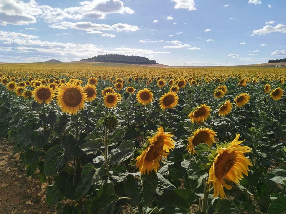 La Aldea Colorada Διαμέρισμα Mota del Marqués Εξωτερικό φωτογραφία